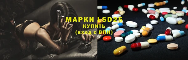 ГАЛЛЮЦИНОГЕННЫЕ ГРИБЫ Аркадак