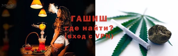 ГАЛЛЮЦИНОГЕННЫЕ ГРИБЫ Аркадак
