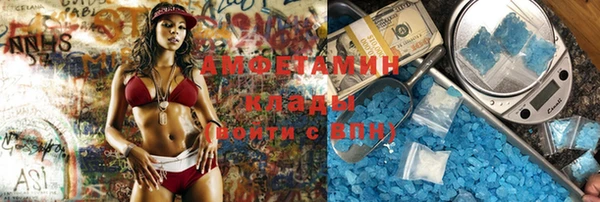 ГАЛЛЮЦИНОГЕННЫЕ ГРИБЫ Аркадак
