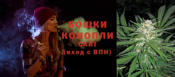 ГАЛЛЮЦИНОГЕННЫЕ ГРИБЫ Аркадак