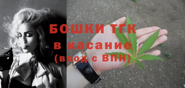 прущая мука Арсеньев