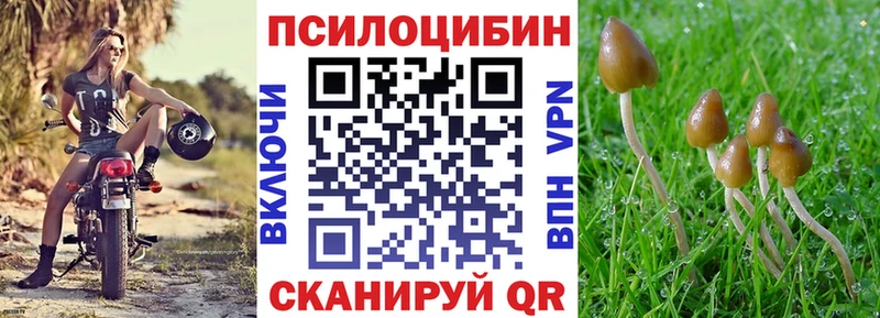Галлюциногенные грибы Magic Shrooms  shop формула  Балтийск  ОМГ ОМГ маркетплейс 