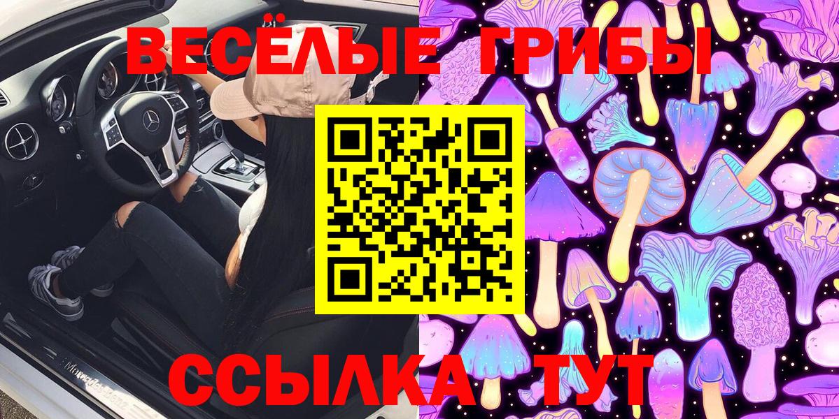 Псилоцибиновые грибы ЛСД  Вход с VPN  Балтийск 